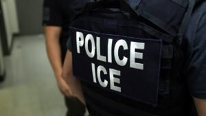 ICE opens up new front in war on fraud with new first-of-its-kind policy: ‘On notice’ ICE opens up new front in war on fraud with new first-of-its-kind policy: ‘On notice’