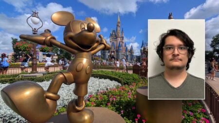 Illegal immigrant who entered US on visa to visit Disney World arrested after overstaying a decade, sex crime Illegal immigrant who entered US on visa to visit Disney World arrested after overstaying a decade, sex crime