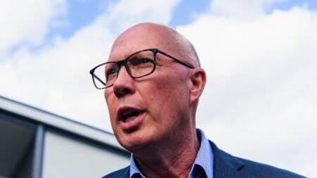 Teen accused of Peter Dutton terror plot learns fate in court