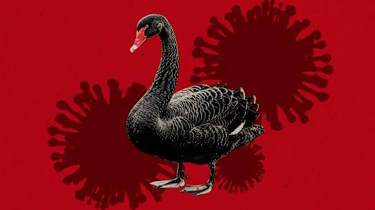 There is no evidence of an outbreak of the deadly H5 bird flu but experts say it is likely it will spread among wildlife at some point.