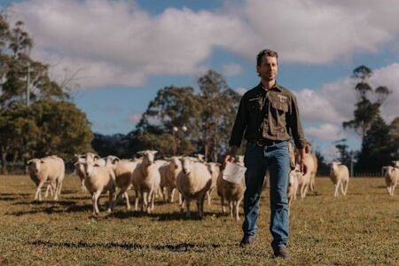Why a Sydney man left the city for a Southern Highlands sheep farm