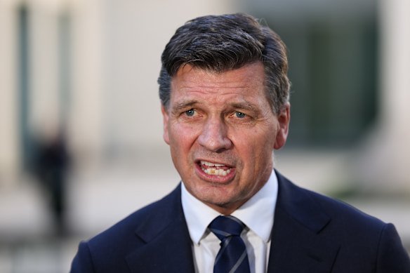 Liberal Party leader Angus Taylor.
