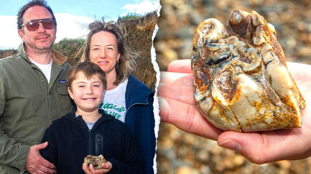 Boy stumbles on strange beach object identified as rare 1.8M-year-old fossil