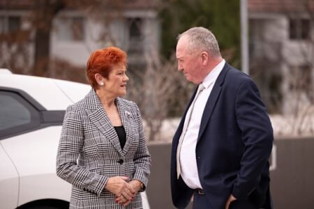 Pauline Hanson to give Midwinter Ball a miss