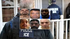 ICE arrests 15 illegal immigrants with convictions including homicide, rape and child sex crimes over weekend