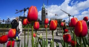 Canada still doesn’t have a foreign influence registry, and advocates are worried Canada still doesn’t have a foreign influence registry, and advocates are worried