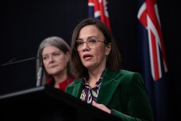Children and Disability Minister Lizzie Blandthorn.