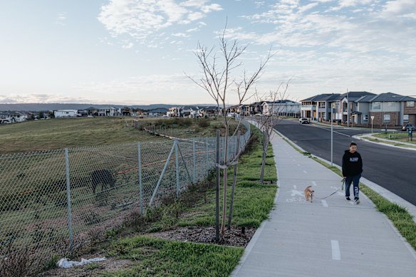 There are pockets of open spaces woven throughout the suburb that soften the edges of suburban development.