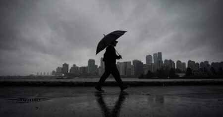 A soggy June could mean mosquitoes ‘plaguing’ many Canadians, experts say A soggy June could mean mosquitoes ‘plaguing’ many Canadians, experts say