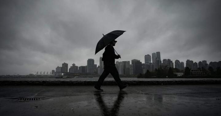 A soggy June could mean mosquitoes ‘plaguing’ many Canadians, experts say A soggy June could mean mosquitoes ‘plaguing’ many Canadians, experts say