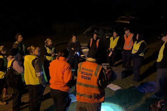Search teams scoured bushland to find Mary.