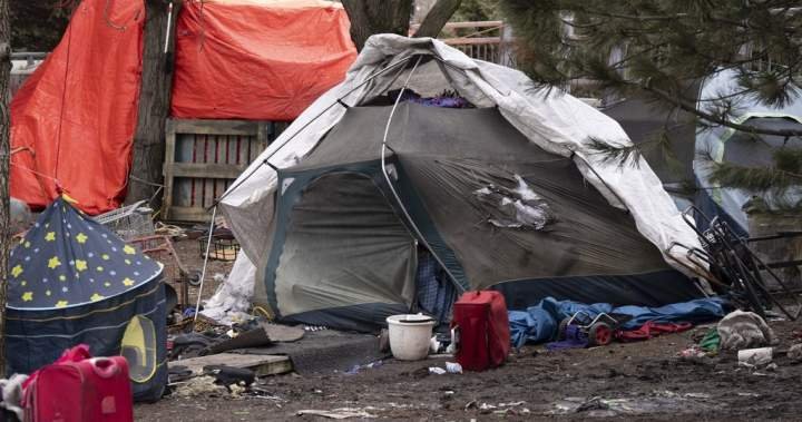 ‘A human being cannot exist nowhere’: Judge blocks eviction of Montreal encampment ‘A human being cannot exist nowhere’: Judge blocks eviction of Montreal encampment