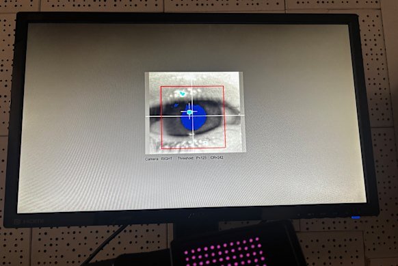 Pupils dilate when they’re surprised. Mine, pictured here, were tracked throughout the experiment.
