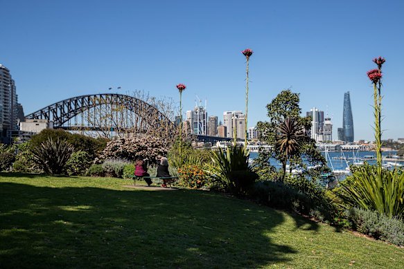 The policy covers multiple foreshore parks including Wendy Whiteley’s Secret Garden.