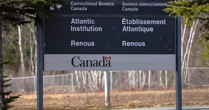 Lawyer pleads case of transgender woman seeking transfer out of men’s prison Lawyer pleads case of transgender woman seeking transfer out of men’s prison