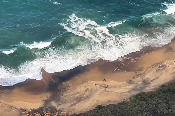 A whale carcass has washed up on Bells Beach triggering warnings and beach closures on Sunday.