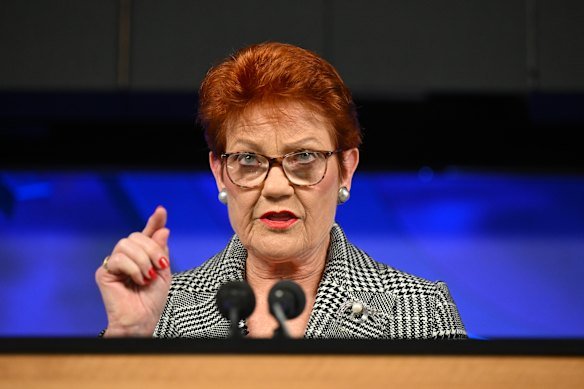 One Nation leader Pauline Hanson addresses the National Press Club in Canberra on Wednesday.