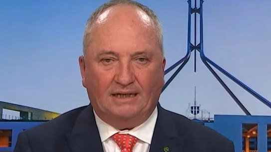 Barnaby Joyce during his interview on Sky News.