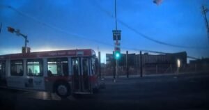 Viral videos show Calgary Transit buses running red lights, stop signs