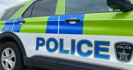 Several people, including child, attacked by loose dog in Barrie Several people, including child, attacked by loose dog in Barrie