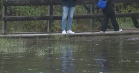 Heavy rainfall, snowpack melt has Canmore dealing with localized flooding Heavy rainfall, snowpack melt has Canmore dealing with localized flooding