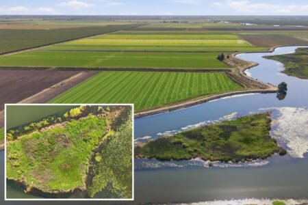 California private island up for sale as ,000 listing sparks interest