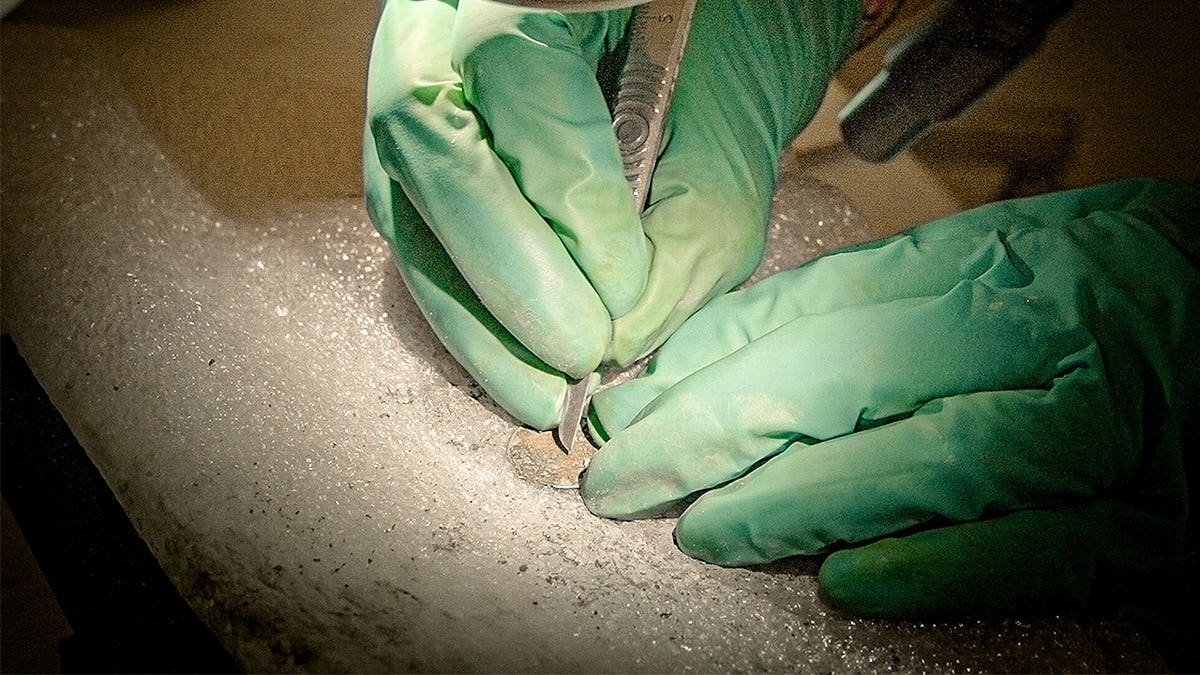 Archaeologist carefully excavating small object