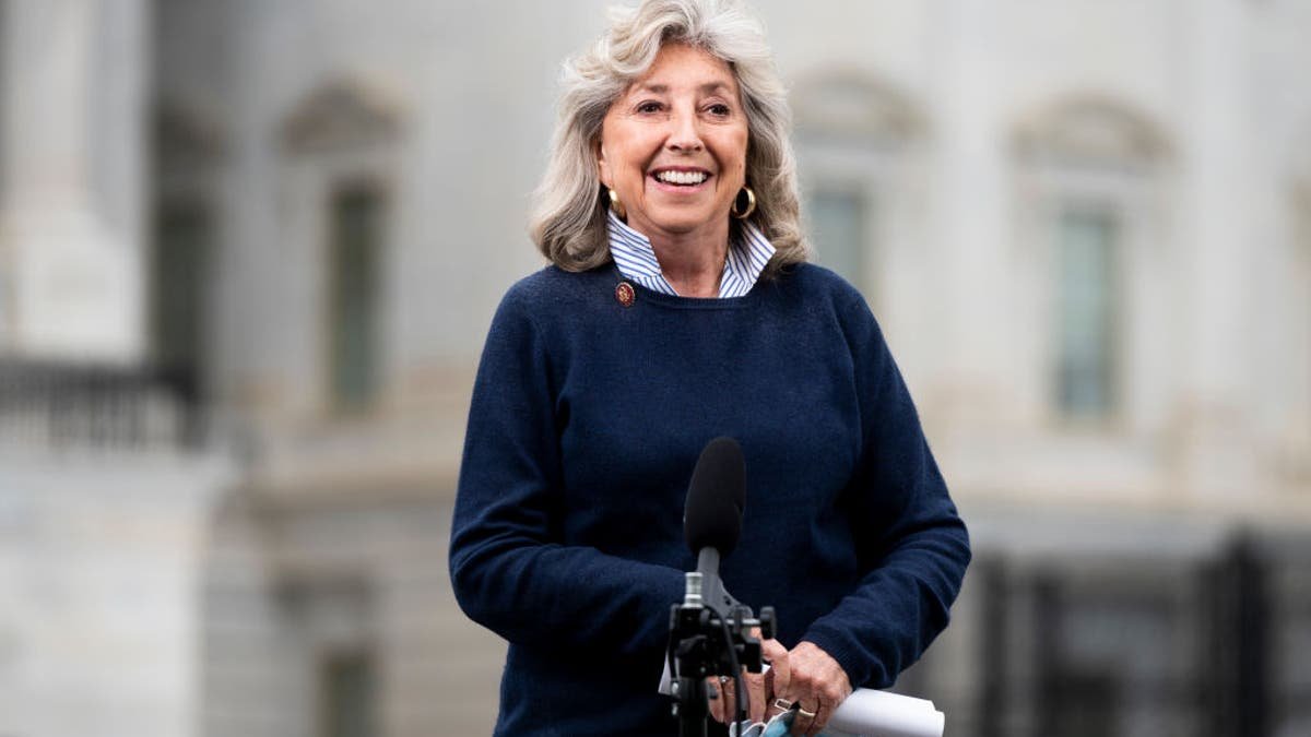 Rep. Dina Titus speaking during a TV interview outside the U.S. Capitol