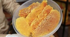 Inside Honey Perfume’s Fastest-Growing Rise as a Home Fragrance Trend With 8 Gorgeous Scents