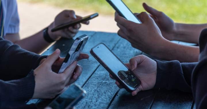 Provinces await feds’ social media ban, still considering their own rules Provinces await feds’ social media ban, still considering their own rules