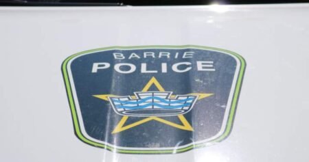 Search for ‘aggressive’ dog that attacked child in Barrie continues Search for ‘aggressive’ dog that attacked child in Barrie continues
