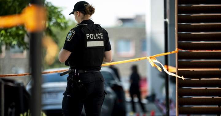 Montreal shooter’s ‘anti-women’ manifesto reflects growing warnings: experts Montreal shooter’s ‘anti-women’ manifesto reflects growing warnings: experts