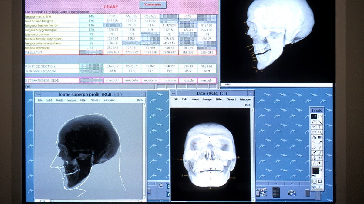 View of Oetzi the Iceman models on computer