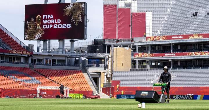 Foreign officers to help Toronto cops manage international fans during FIFA World Cup Foreign officers to help Toronto cops manage international fans during FIFA World Cup