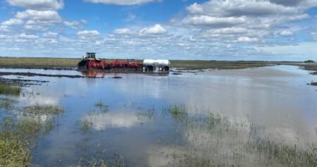 Some Manitoba farmers attempt reseeding after storm damage Some Manitoba farmers attempt reseeding after storm damage