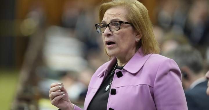 ‘Something’ led to ‘lost Canadian’ citizenship recalls, minister says ‘Something’ led to ‘lost Canadian’ citizenship recalls, minister says