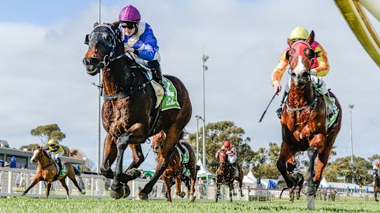 Hickmott’s horse Classy Kenny (left) was banned for 12 months.