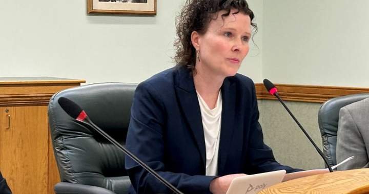 Poor planning, budgeting issues identified as flaws in SPSA by provincial auditor Poor planning, budgeting issues identified as flaws in SPSA by provincial auditor