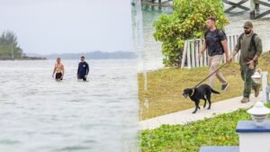 Why investigators are searching both land and sea for missing Michigan woman in Bahamas