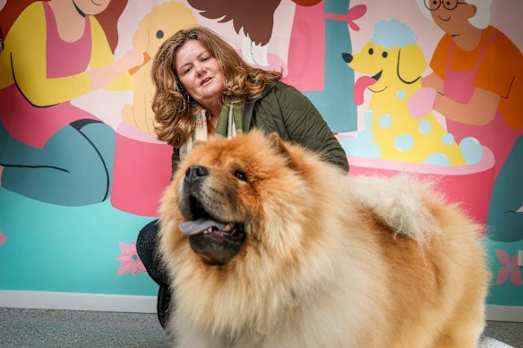 Desi the chow chow after his pampering session, pictured with his owner, Candy Vulling.