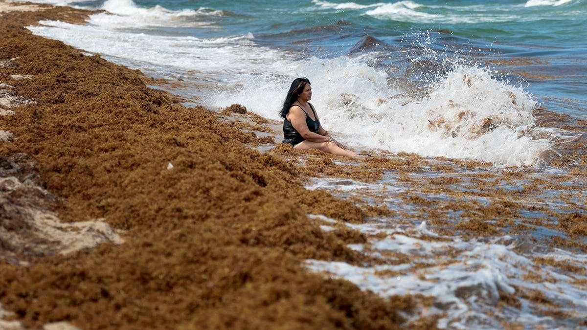 Belkis Perea sitting on the beach among brown seaweed in Miami Beach Florida
