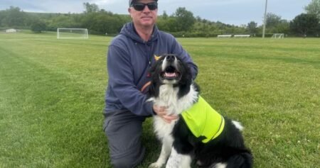Specially-trained ‘bird dogs’ hired to clear geese from FIFA practice pitch Specially-trained ‘bird dogs’ hired to clear geese from FIFA practice pitch
