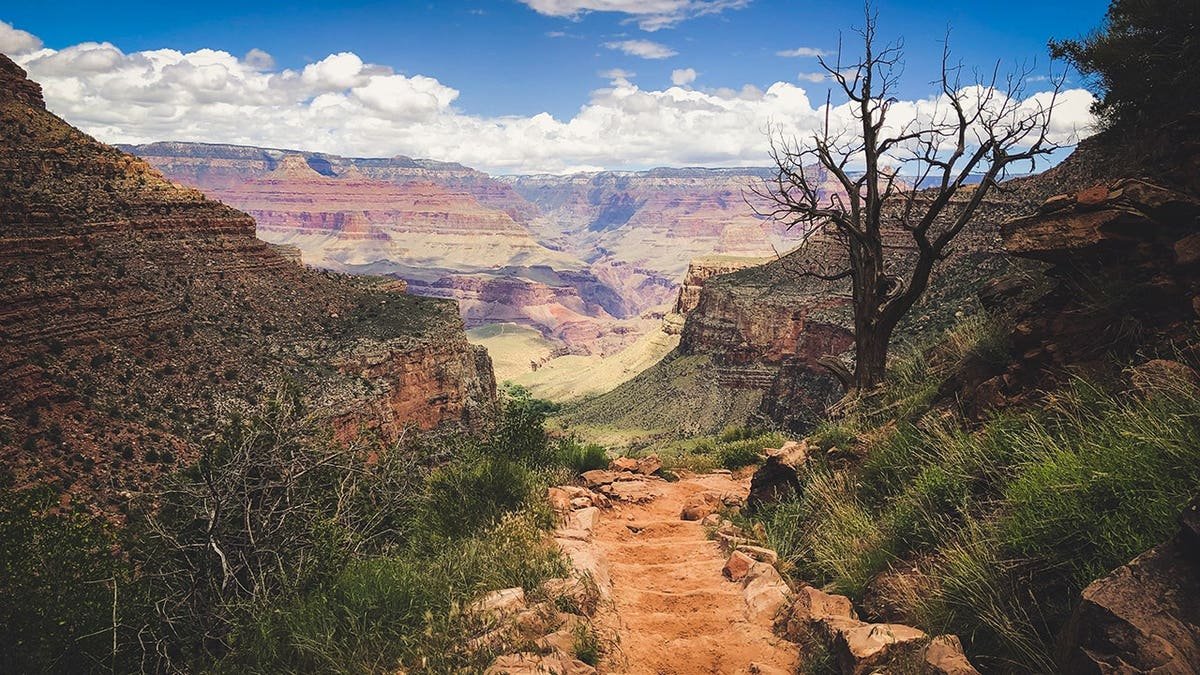 Bright Angel Trail winding through rocky landscape with hikers on the path