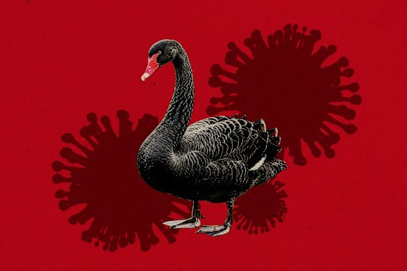 There is no evidence of an outbreak of the deadly H5N1 bird flu, but experts say it is likely to spread among wildlife at some point.