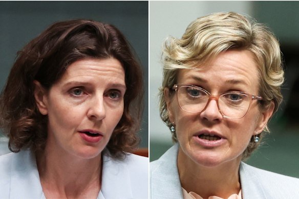 Independents Allegra Spender (left) and Zali Steggall opposed the government’s proposed CGT changes