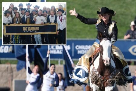 UC Davis cuts entire equestrian team — then furious parents investigated