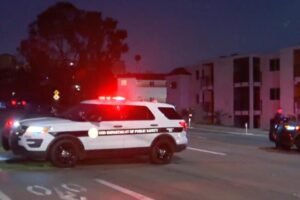 USD student is hit and killed by cop car — as horrific details emerge USD student is hit and killed by cop car — as horrific details emerge