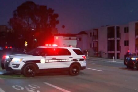 USD student is hit and killed by cop car — as horrific details emerge USD student is hit and killed by cop car — as horrific details emerge