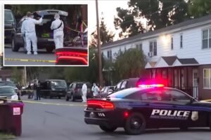 Four children and two adults found dead inside New York home after welfare check request Four children and two adults found dead inside New York home after welfare check request