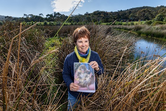 Ecologist Barbara Wilson on Loughnan’s property with a photograph of native fauna detected there. 